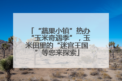 “蔬果小镇”热办“玉米奇遇季”，玉米田里的“迷宫王国”等您来探索