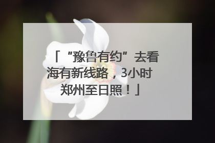 “豫鲁有约”去看海有新线路，3小时郑州至日照！