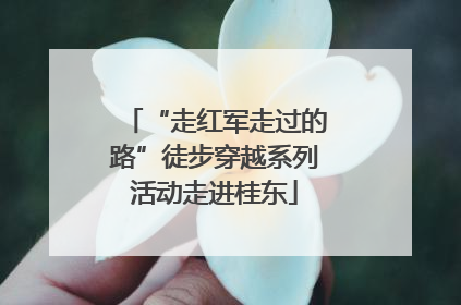 “走红军走过的路”徒步穿越系列活动走进桂东