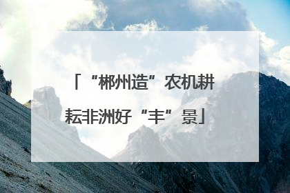 “郴州造”农机耕耘非洲好“丰”景