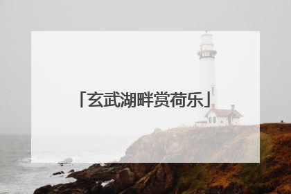 玄武湖畔赏荷乐