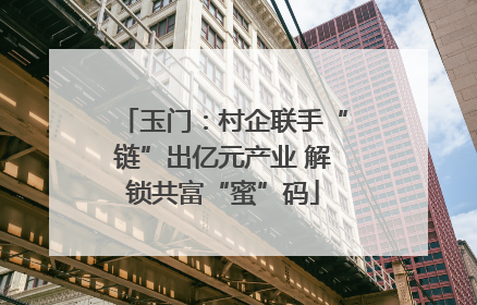 玉门：村企联手“链”出亿元产业 解锁共富“蜜”码