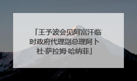 王予波会见阿富汗临时政府代理副总理阿卜杜·萨拉姆·哈纳菲