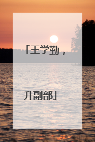 王学勤，升副部