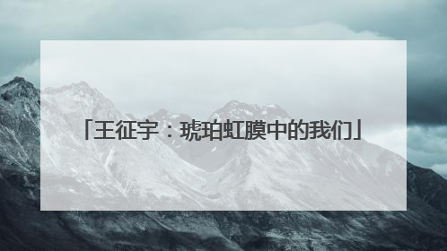 王征宇：琥珀虹膜中的我们
