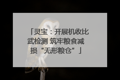 灵宝：开展机收比武检测 筑牢粮食减损“无形粮仓”