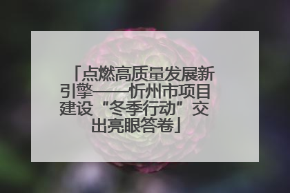 点燃高质量发展新引擎——忻州市项目建设“冬季行动”交出亮眼答卷