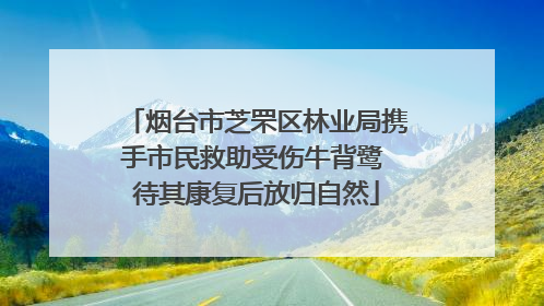 烟台市芝罘区林业局携手市民救助受伤牛背鹭 待其康复后放归自然