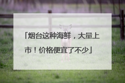 烟台这种海鲜，大量上市！价格便宜了不少