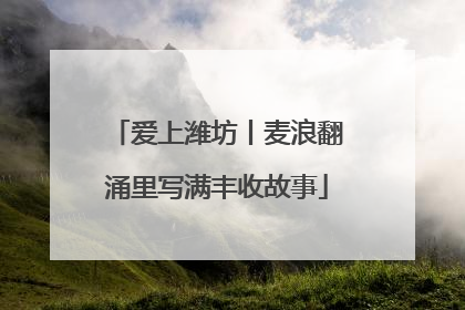 爱上潍坊丨麦浪翻涌里写满丰收故事