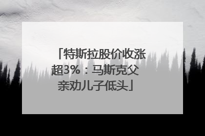 特斯拉股价收涨超3%：马斯克父亲劝儿子低头