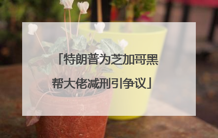 特朗普为芝加哥黑帮大佬减刑引争议