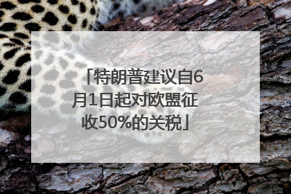 特朗普建议自6月1日起对欧盟征收50%的关税