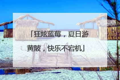 狂炫蓝莓，夏日游黄陂，快乐不宕机