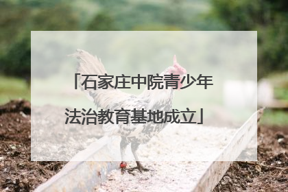 石家庄中院青少年法治教育基地成立