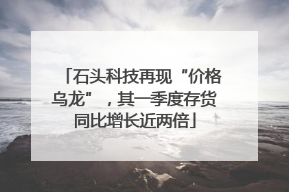 石头科技再现“价格乌龙”，其一季度存货同比增长近两倍