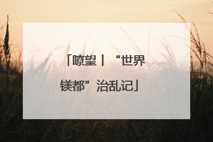 瞭望丨“世界镁都”治乱记
