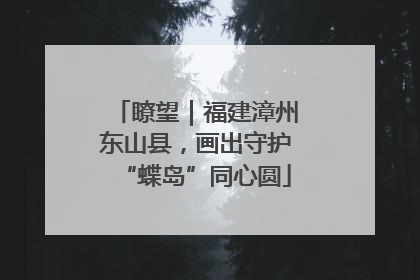 瞭望｜福建漳州东山县，画出守护“蝶岛”同心圆