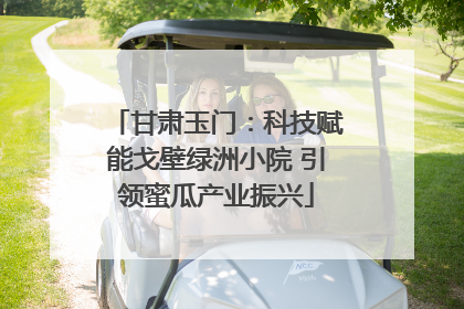 甘肃玉门：科技赋能戈壁绿洲小院 引领蜜瓜产业振兴