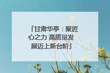 甘肃华亭：聚匠心之力 高质量发展迈上新台阶