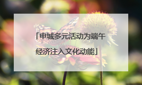 申城多元活动为端午经济注入文化动能