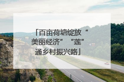 百亩荷塘绽放“美丽经济”“莲”通乡村振兴路