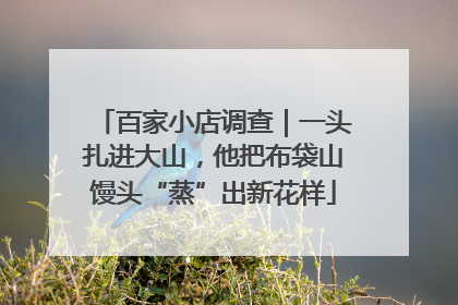 百家小店调查｜一头扎进大山，他把布袋山馒头“蒸”出新花样