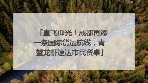 直飞仰光！成都再添一条国际货运航线，青蟹龙虾速达市民餐桌
