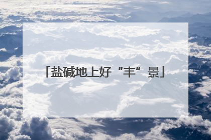 盐碱地上好“丰”景