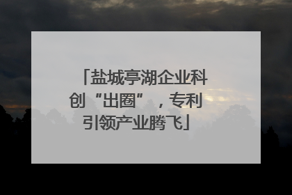 盐城亭湖企业科创“出圈”，专利引领产业腾飞