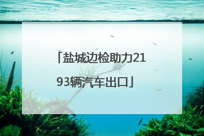 盐城边检助力2193辆汽车出口