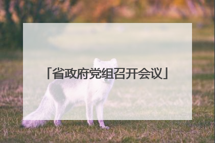 省政府党组召开会议