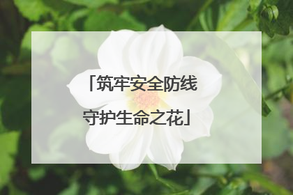 筑牢安全防线 守护生命之花