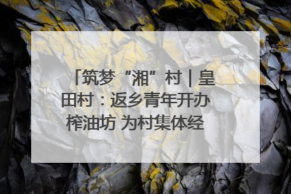 筑梦“湘”村｜皇田村：返乡青年开办榨油坊 为村集体经济“加油”