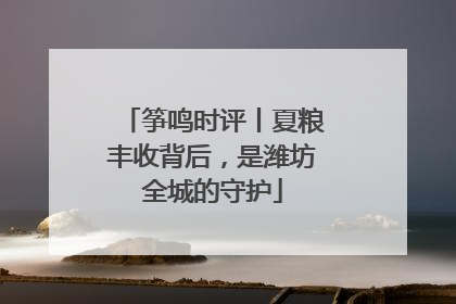 筝鸣时评丨夏粮丰收背后，是潍坊全城的守护