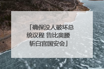确保没人破坏总统议程 鲁比奥腰斩白宫国安会