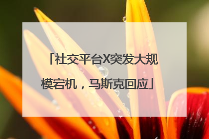 社交平台X突发大规模宕机，马斯克回应