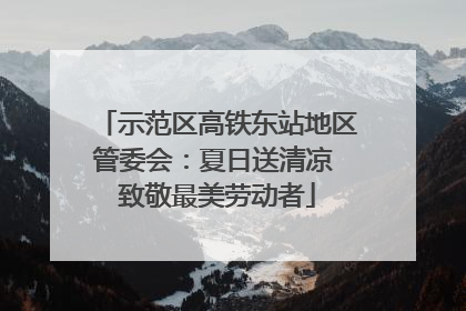 示范区高铁东站地区管委会：夏日送清凉 致敬最美劳动者