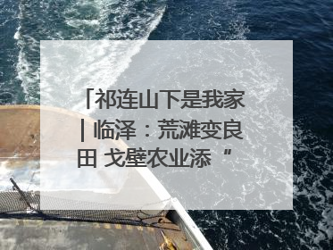 祁连山下是我家｜临泽：荒滩变良田 戈壁农业添“绿”生“金”
