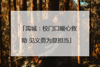 禹城：校门口暖心救助 见义勇为显担当