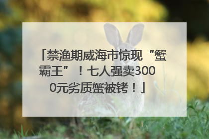 禁渔期威海市惊现“蟹霸王”！七人强卖3000元劣质蟹被铐！