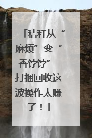 秸秆从“麻烦”变“香饽饽” 打捆回收这波操作太赚了！