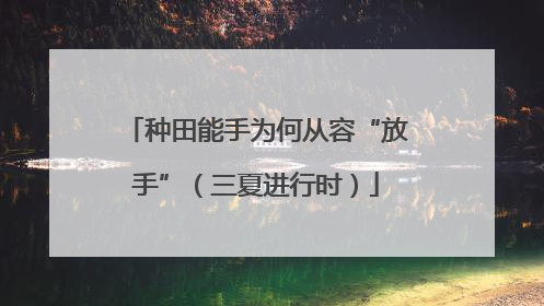 种田能手为何从容“放手”（三夏进行时）