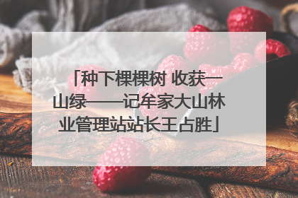 种下棵棵树 收获一山绿——记牟家大山林业管理站站长王占胜