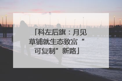 科左后旗：月见草铺就生态致富“可复制”新路