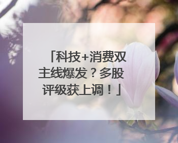 科技+消费双主线爆发？多股评级获上调！