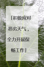 积极应对恶劣天气，全力开展保畅工作