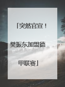 突然官宣！樊振东加盟德甲联赛