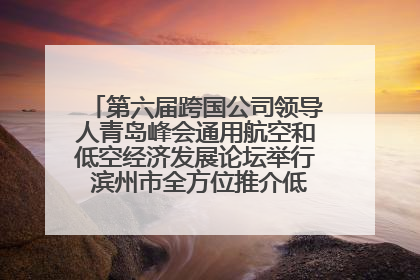 第六届跨国公司领导人青岛峰会通用航空和低空经济发展论坛举行 滨州市全方位推介低空经济发展优势