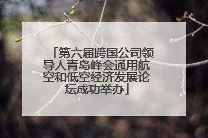 第六届跨国公司领导人青岛峰会通用航空和低空经济发展论坛成功举办